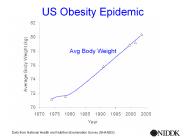 Obesity epidemic