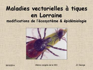 Maladies vectorielles 