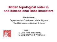 Hidden topological order in one-dimensional Bose Insulators