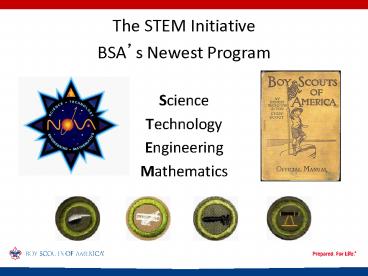 The STEM Initiative