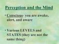 Perception and the Mind PowerPoint PPT Presentation
