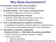 Why Study Neuroscience? PowerPoint PPT Presentation