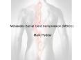 Metastatic Spinal Cord Compression (MSCC) PowerPoint PPT Presentation
