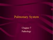 Pulmonary System