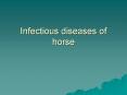 Infectious diseases of horse PowerPoint PPT Presentation