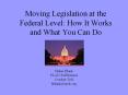 Moving Legislation at the Federal Level: How It Works and What You Can Do PowerPoint PPT Presentation