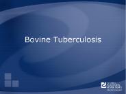 Bovine Tuberculosis