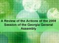 A Review of the Actions of the 2008 Session of the Georgia General Assembly PowerPoint PPT Presentation