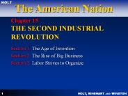 Chapter 15 THE SECOND INDUSTRIAL REVOLUTION
