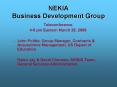 NEKIA Business Development Group PowerPoint PPT Presentation