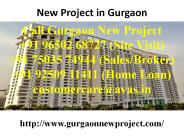 New Project In Gurgaon