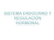 Diapositiva 1