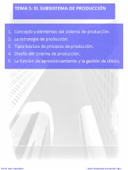 TEMA 5  EL SUBSISTEMA DE PRODUCCI
