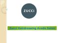 Zucci Hairdressing Aveda Salon PowerPoint PPT Presentation