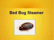 Bed Bug control using Bed Bug Steamer