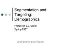 Segmentation and Targeting: Demographics PowerPoint PPT Presentation