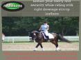 Dressage Stirrup Leathers PowerPoint PPT Presentation