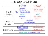 RHIC Spin Group at BNL
