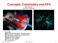 Concepts, Calorimetry and PFA PowerPoint PPT Presentation