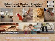 Carpet Cleaning Sydney | Steam Cleaning