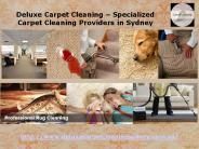 Carpet Cleaning Sydney | Steam Cleaning