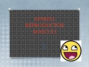 APARELL REPRODUCTOR MASCULI