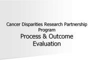 Cancer Disparities Research Partnership Program Process