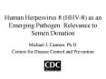 Human Herpesvirus 8 (HHV-8) as an Emerging Pathogen: Relevance to Semen Donation PowerPoint PPT Presentation