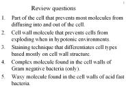 Review questions