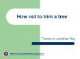 How not to trim a tree PowerPoint PPT Presentation