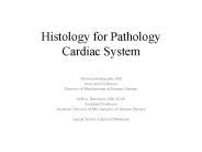 Histology for Pathology Cardiac System