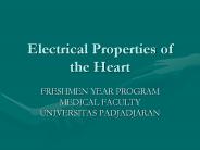 Electrical Properties of the Heart