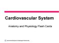 Cardiovascular System PowerPoint PPT Presentation