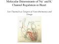 Molecular Determinants of Na  and K  Channel Regulation in Heart: Ion Channels as Targets of Neurohormones and Drugs PowerPoint PPT Presentation