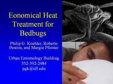 Eonomical Heat Treatment for Bedbugs