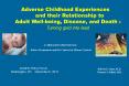 Adverse Childhood Experiences PowerPoint PPT Presentation