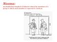 Norms: an established standard of behavior shared by members of a group to which each member is expected to conform PowerPoint PPT Presentation