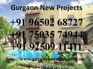 Gurgaon New Project