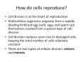 How do cells reproduce? PowerPoint PPT Presentation