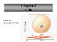 Chapter 3 Cells PowerPoint PPT Presentation