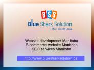 Website development Manitoba – escalate your online business trends