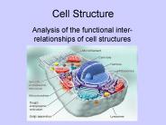 Cell Structure