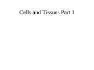 Cells and Tissues Part 1