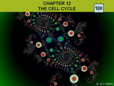 CHAPTER 12 THE CELL CYCLE