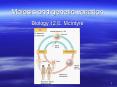 Meiosis and genetic variation PowerPoint PPT Presentation