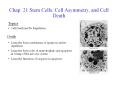 Chap. 21 Stem Cells, Cell Asymmetry, and Cell Death PowerPoint PPT Presentation