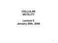 Cell Motility PowerPoint PPT Presentation