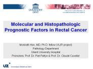 Molecular and Histopathologic Prognostic Factors in Rectal Cancer