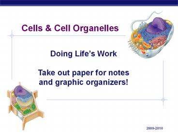 Tour of Cell Organelles