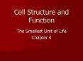 Cell Structure and Function PowerPoint PPT Presentation